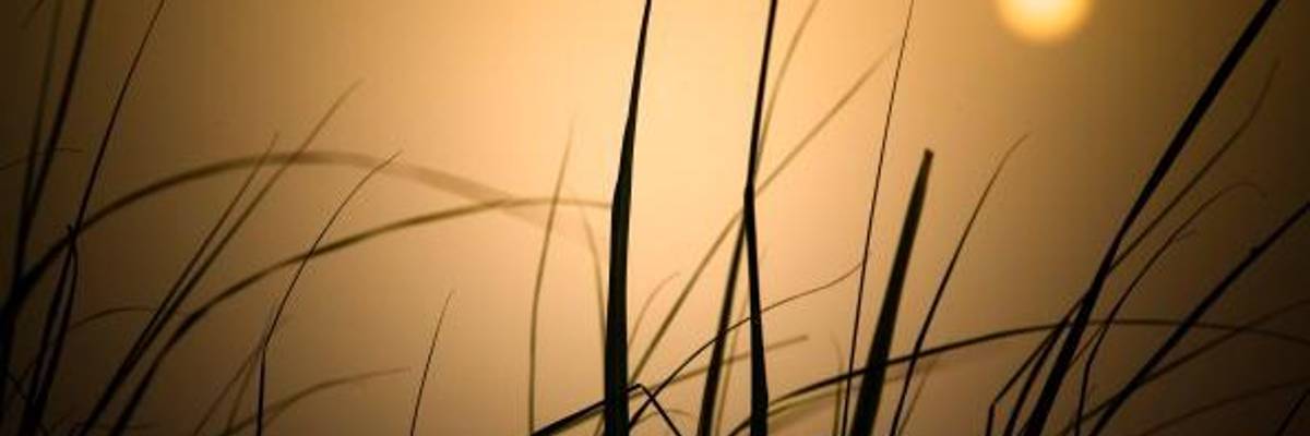 A Fairy Tale from 2050