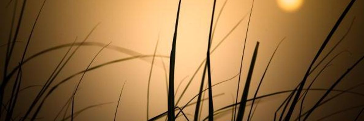 A Fairy Tale from 2050