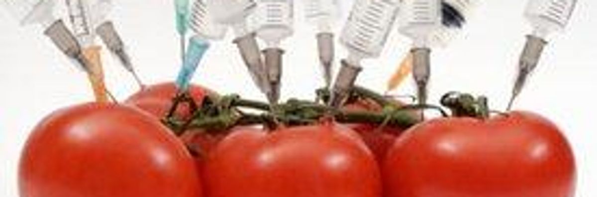 Bills to Label Genetically Engineered Foods Introduced in Illinois and Iowa