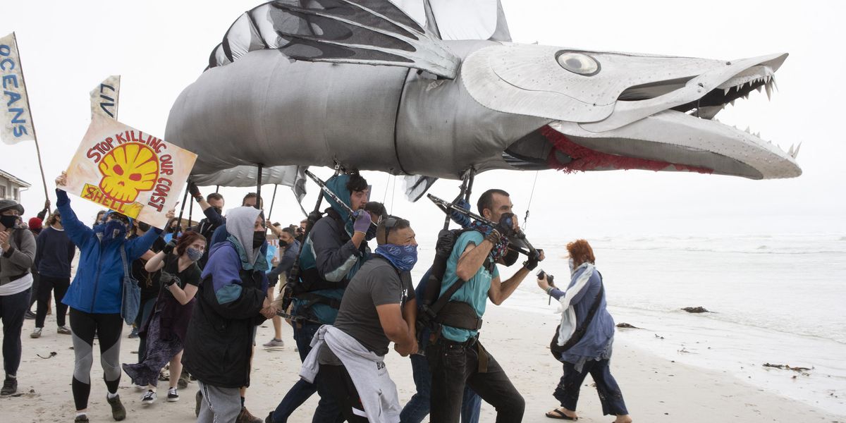 'We Won't Stop Fighting,' Vow South African Activists After Judge OKs ...