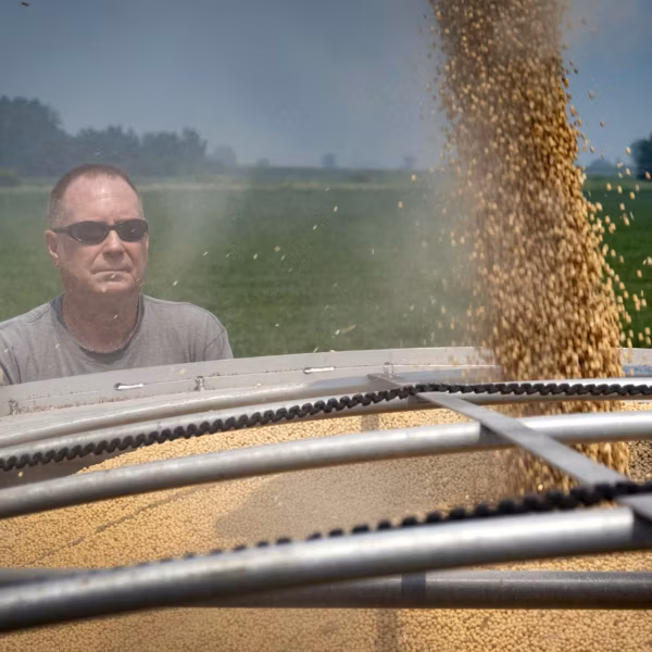 Soybean farmer