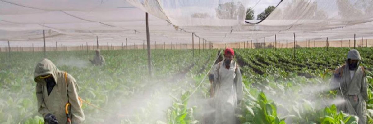 Pesticides Are Making Children Aggressive