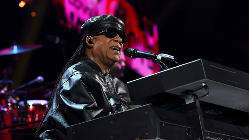 Stevie Wonder performs at FIREAID