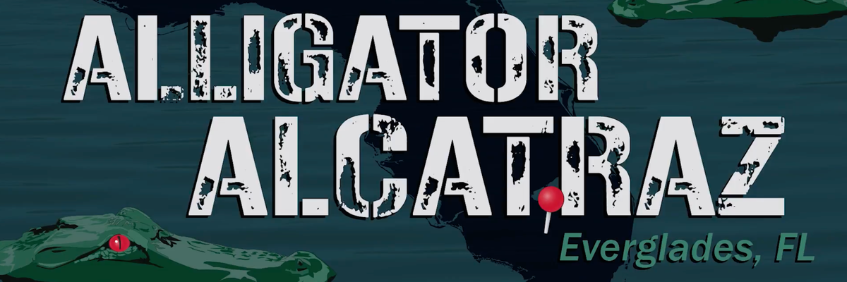 still from Alligator Alcatraz video