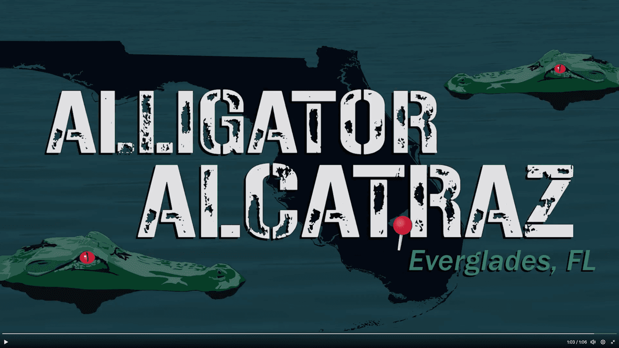 still from Alligator Alcatraz video