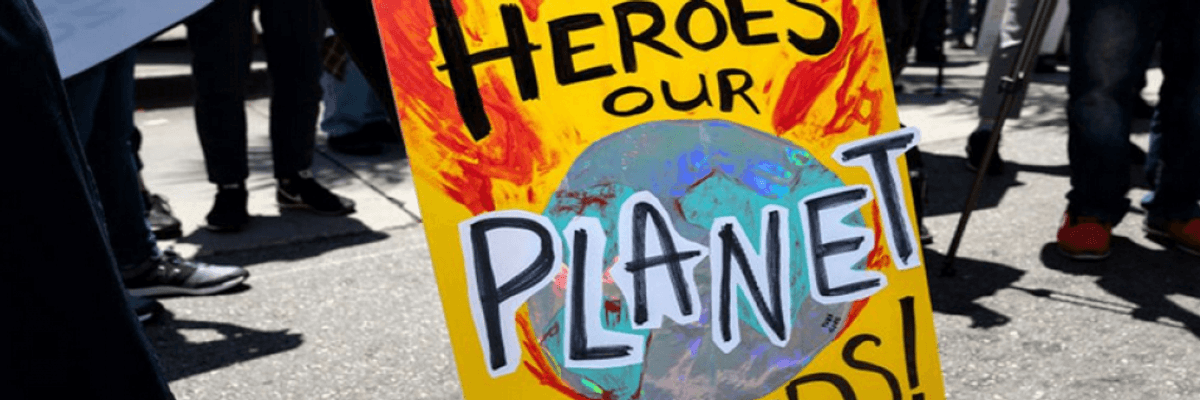 Greenpeace Gives Democratic Platform C+ on Climate, Calling for 'Action at the Scale That Science and Justice Demand'