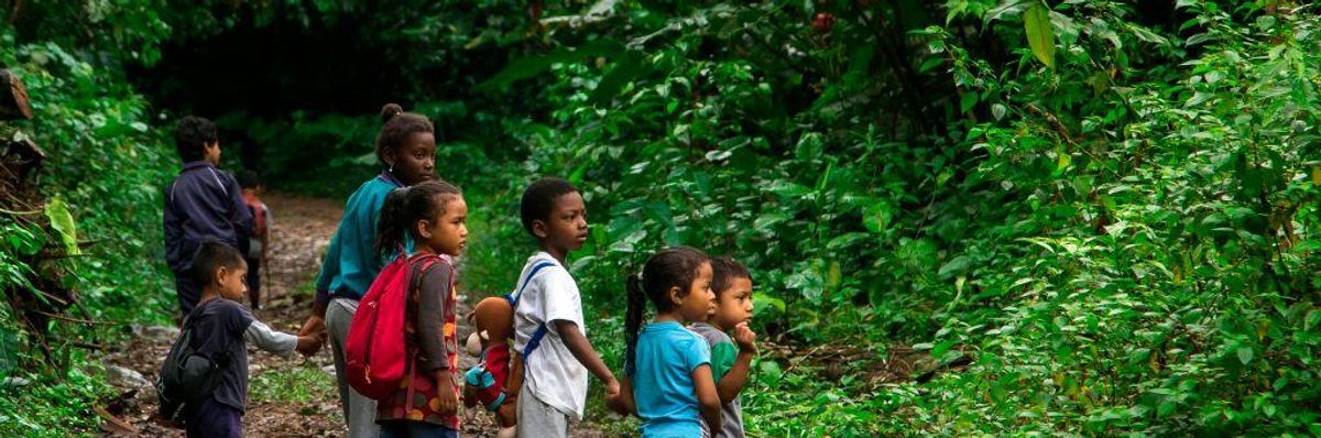 Recent Developments in Ecuador: Rights of Nature