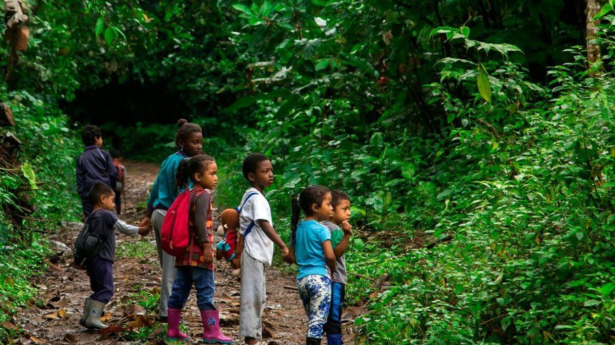 Recent Developments in Ecuador: Rights of Nature