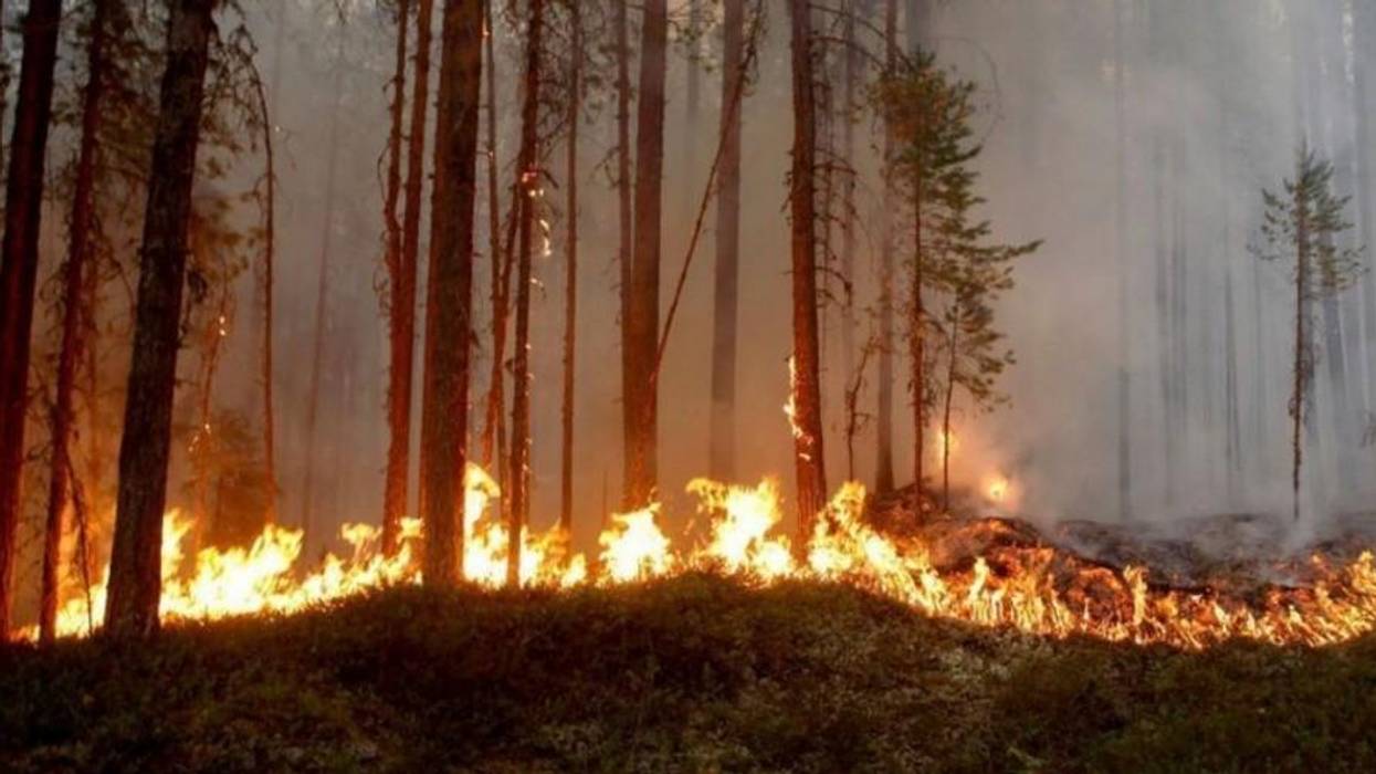 How to Process Climate Grief Over the California Wildfires