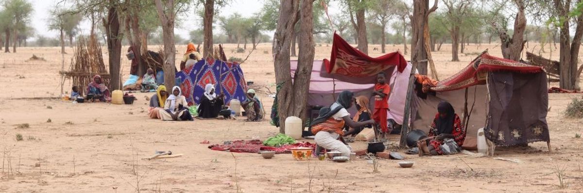 Sudanese refugees in cloth tents set up below trees on parched earth.