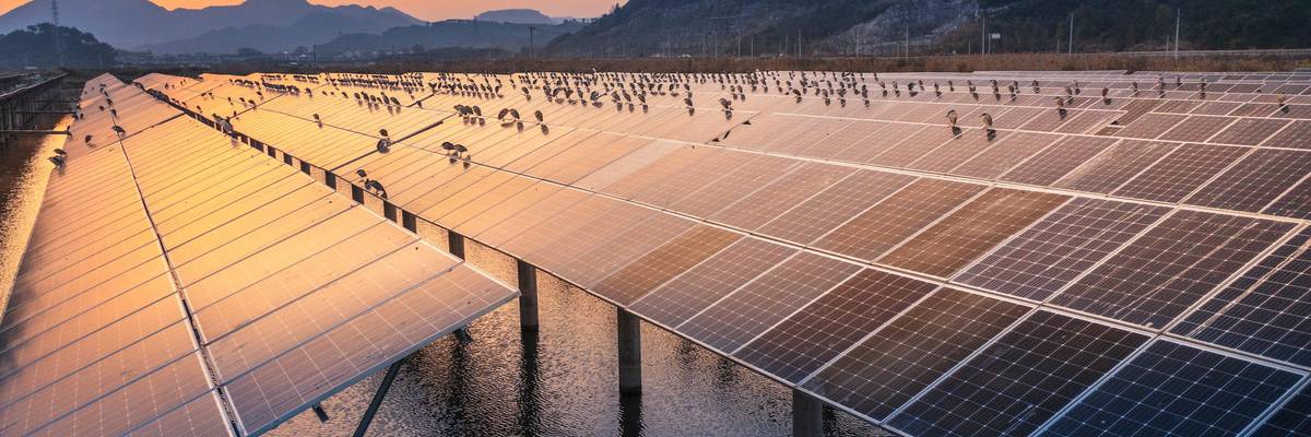Swarms of night herons sit on a solar photovoltaic panel in Ninghai County, Zhejiang Province, China, March 22, 2021. (Photo: Costfoto/Future Publishing via Getty Images)