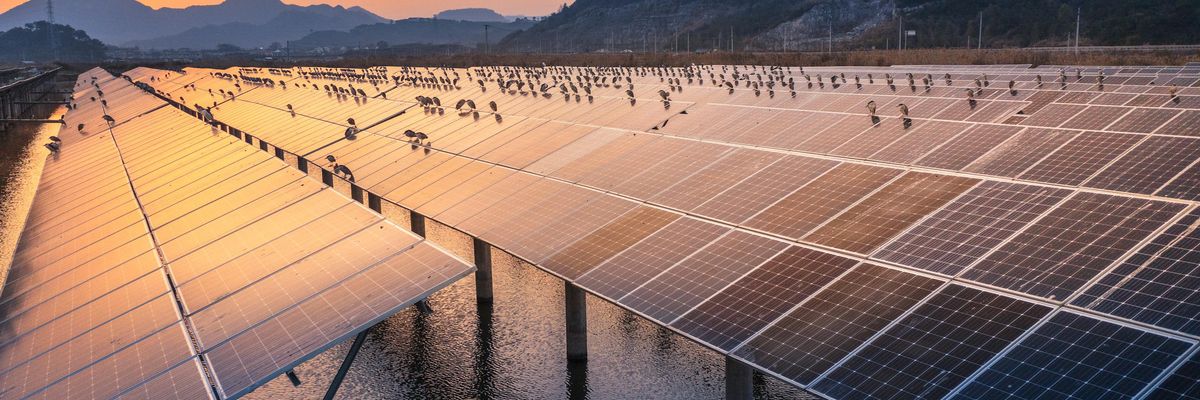 Swarms of night herons sit on a solar photovoltaic panel in Ninghai County, Zhejiang Province, China, March 22, 2021. (Photo: Costfoto/Future Publishing via Getty Images)