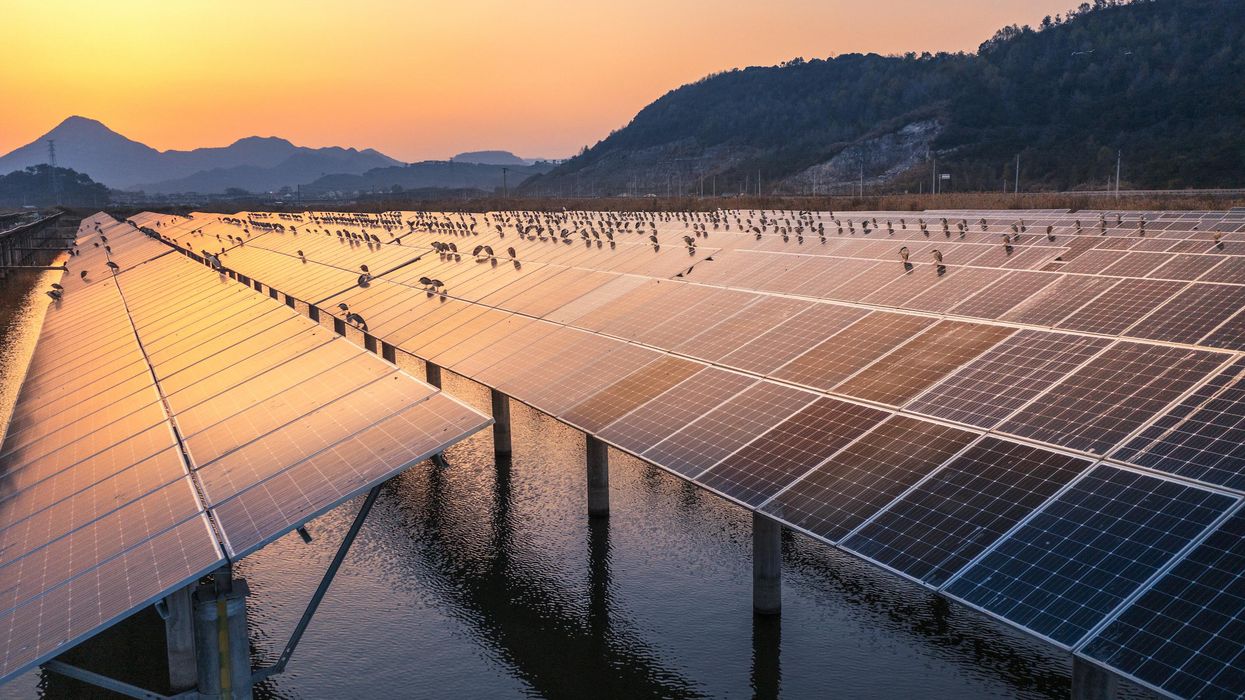 Swarms of night herons sit on a solar photovoltaic panel in Ninghai County, Zhejiang Province, China.