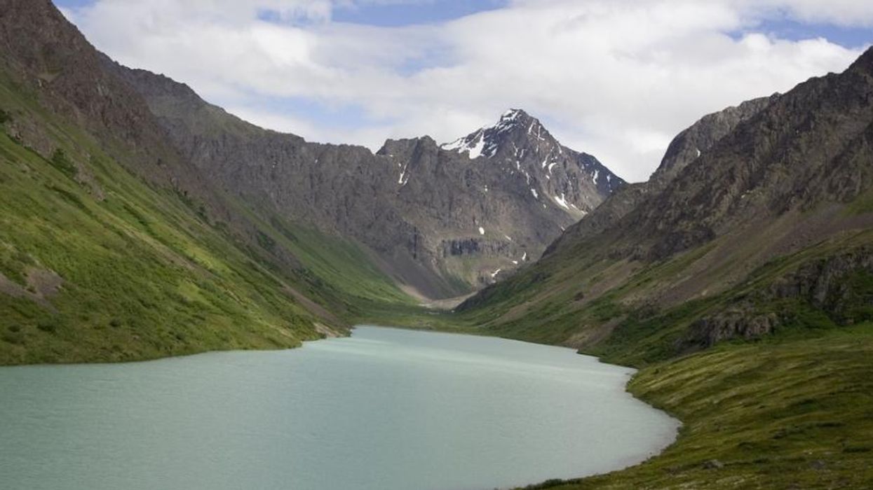 Savoring What Remains in an Age of Climate PTSD