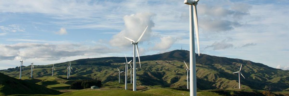 New Zealand Wins Global Praise for 'Historic' Law to Bring Net Carbon Emissions to Zero by 2050