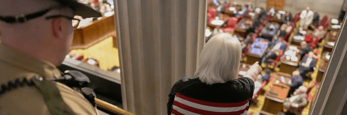 Tennessee House protest