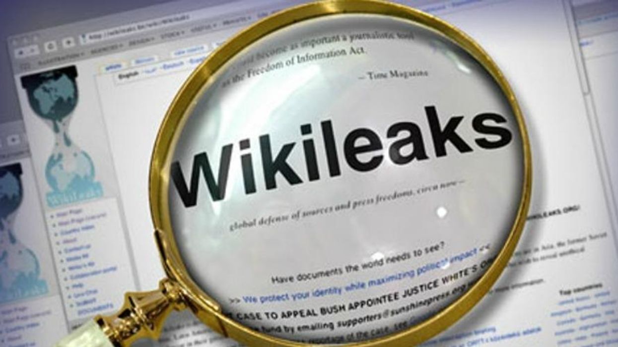 Inside WikiLeaks: Working With the Publisher That Changed the World