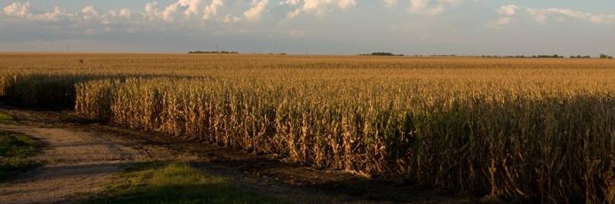 Report Illustrates Dire Consequences of Corporate Consolidation Throughout Global Food Chain