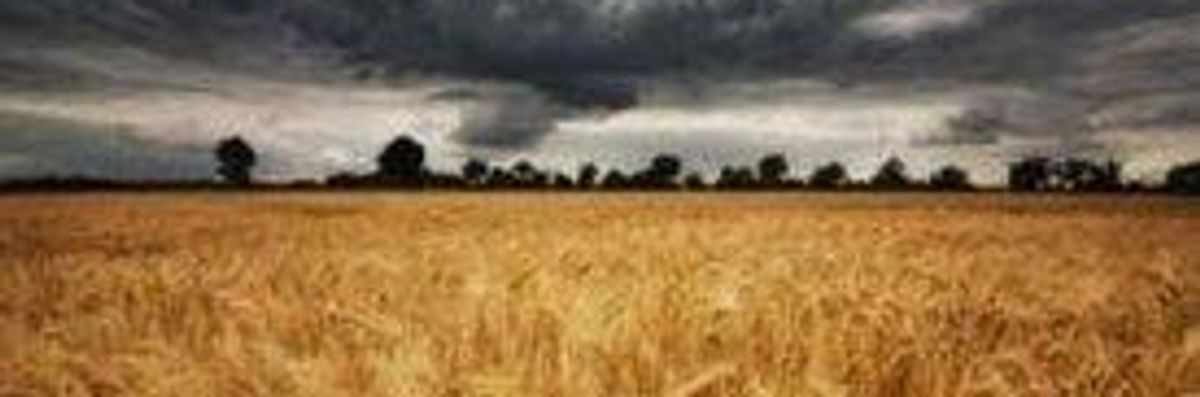 One Billion Already Hungry as Deeper Food Crises Loom