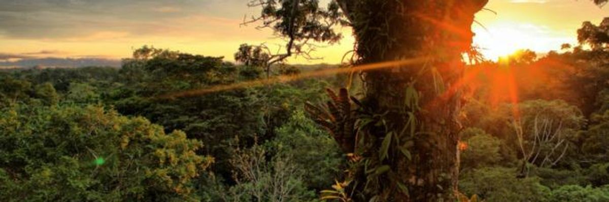 Temer Signs Law That Could See Millions of Acres Lost in the Amazon