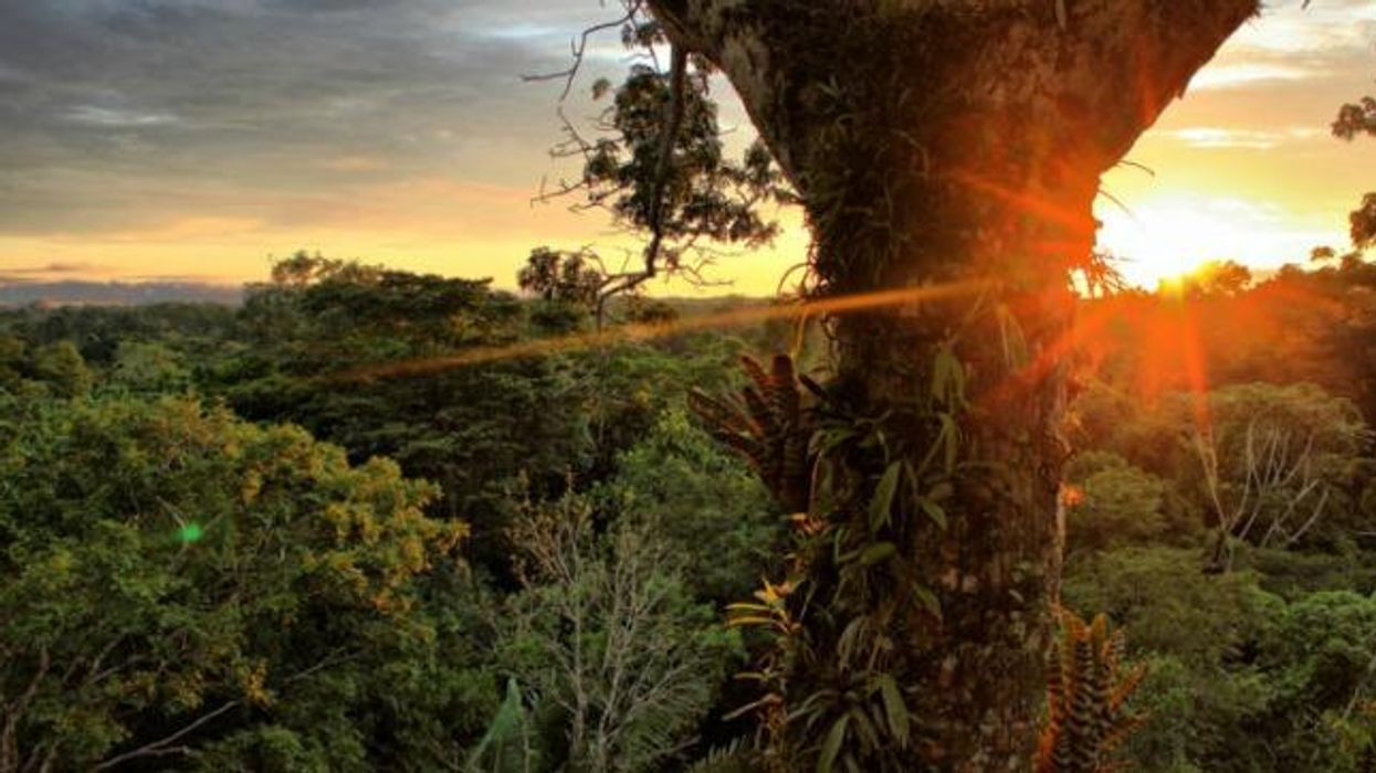 Temer Signs Law That Could See Millions of Acres Lost in the Amazon