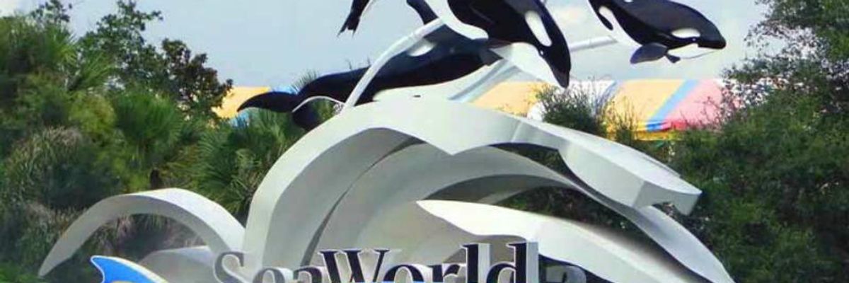 SeaWorld Admits Using Employees to Spy on Animal Rights Activists