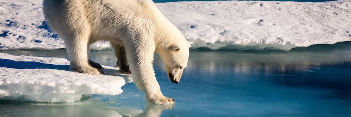 Pompeo Cheers 'Opportunity' in Arctic From Climate Change as America Blocks Resolution Language