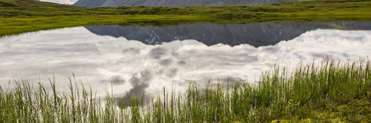 Turns Out That the Oil Industry Wasn't Interested in the Arctic Refuge After All