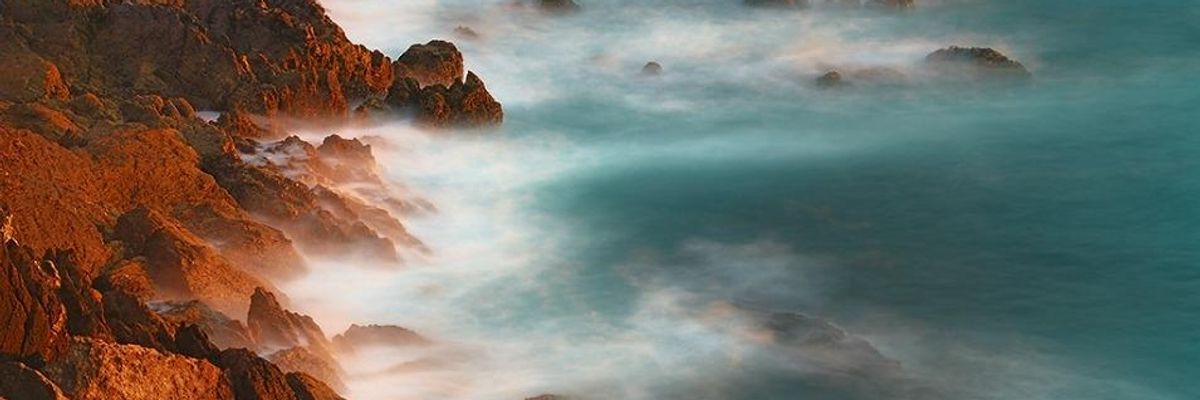 'Completely Terrifying': Study Warns Carbon-Saturated Oceans Headed Toward Tipping Point That Could Unleash Mass Extinction Event