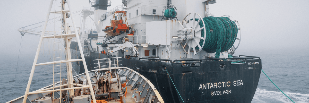 The Bandero, a Captain Paul Watson Foundation activist vessel, collides with an industrial krill trawler off Antarctica.