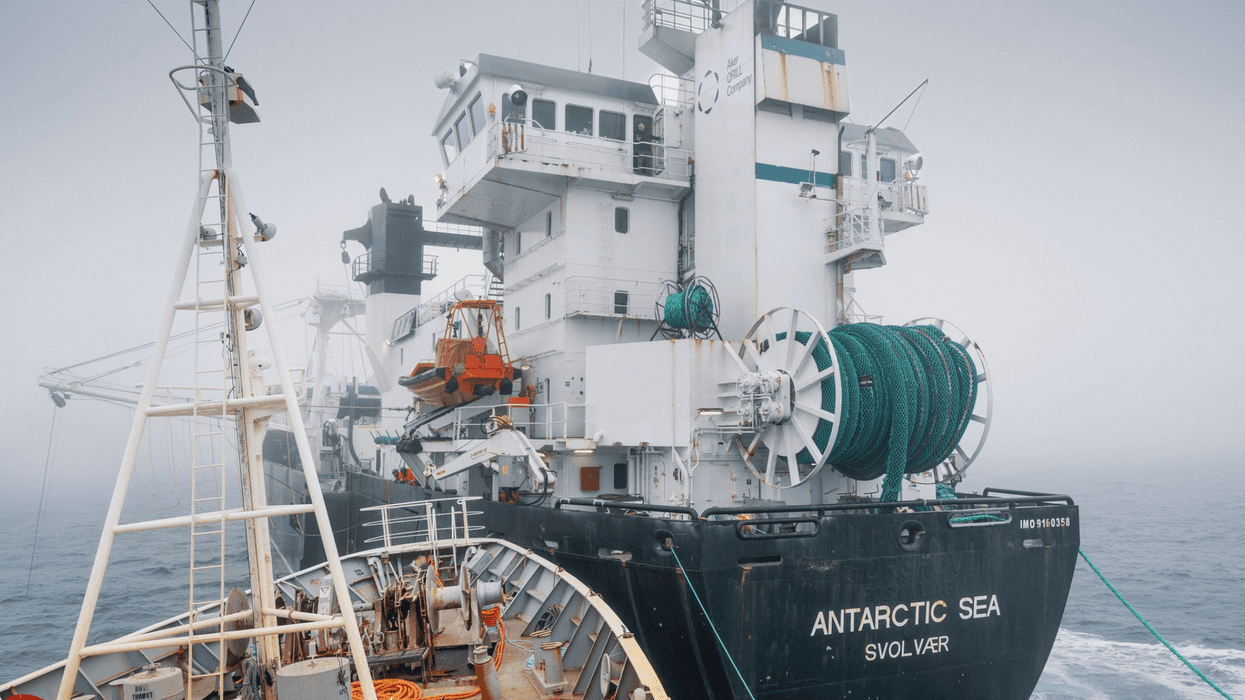 The Bandero, a Captain Paul Watson Foundation activist vessel, collides with an industrial krill trawler off Antarctica.