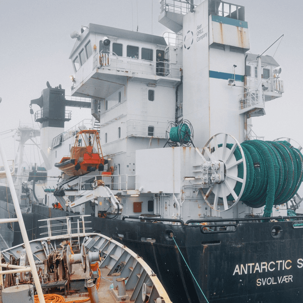 The Bandero, a Captain Paul Watson Foundation activist vessel, collides with an industrial krill trawler off Antarctica.