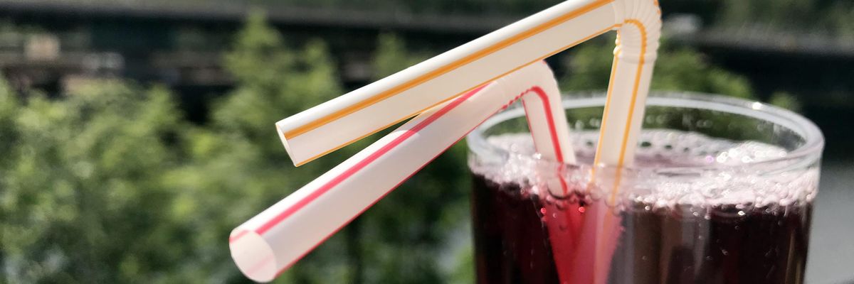 Toward Disability Justice: Don't Forget the Plastic That Gives Me Freedom