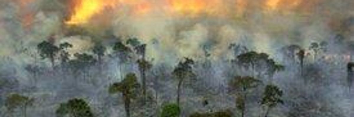 Burning World's Forests and Grasslands Warming Earth Faster Than Thought: Study