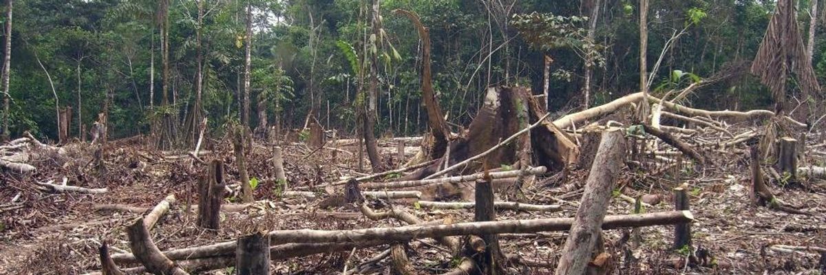 As Brazil's Bolsonaro Wages War on the Amazon, Rainforest Communities Battle Climate Emergency