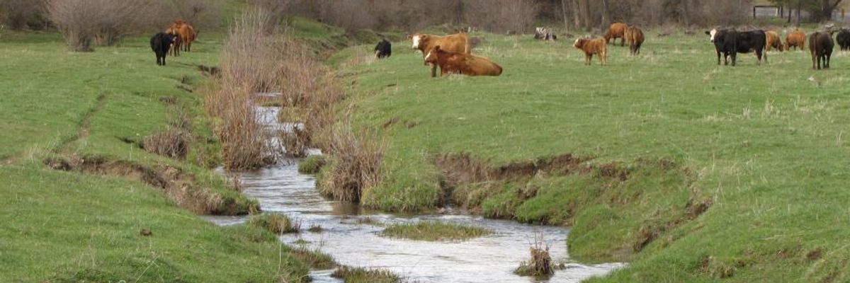 In Latest 'Giveaway to Polluters', Trump EPA Suspends Clean Water Rule