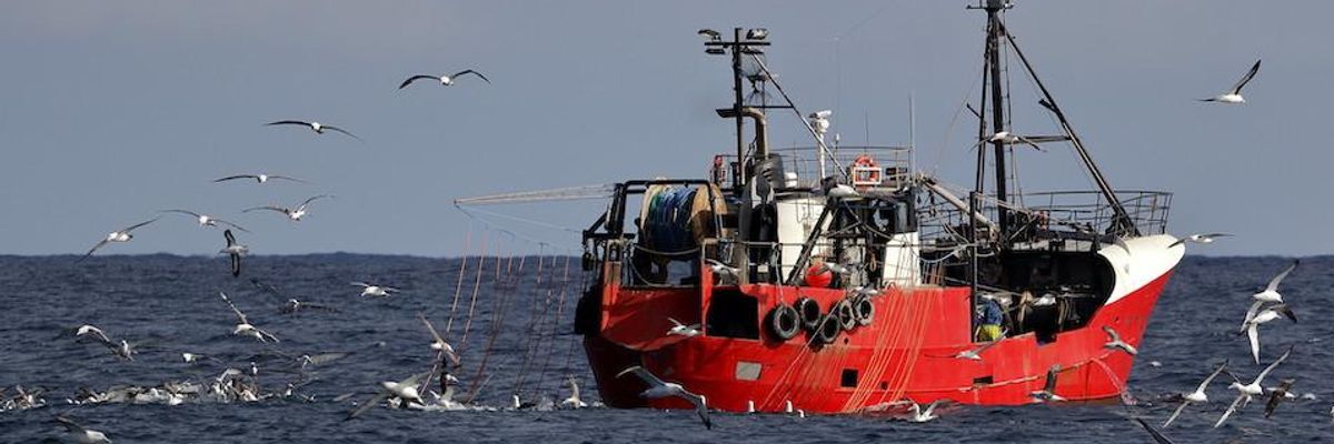 New England Fishing Communities Being Destroyed by 'Climate Shocks': Study