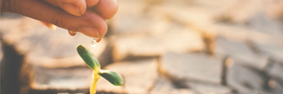 Facing the Climate Emergency: Grieving The Future You Thought You Had