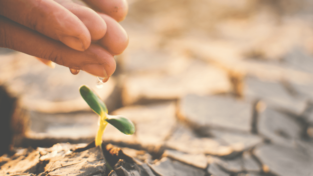 Facing the Climate Emergency: Grieving The Future You Thought You Had