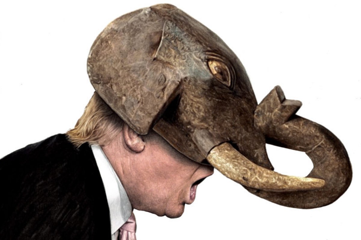 Opinion | The Cult of Trump | Common Dreams