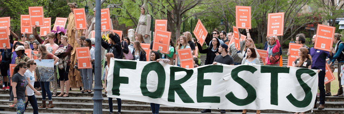 The Dogwood Alliance holds a demonstration in support of forests. 