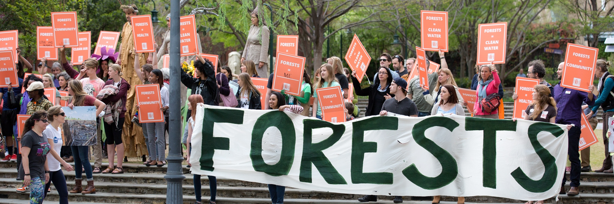 The Dogwood Alliance holds a demonstration in support of forests. 