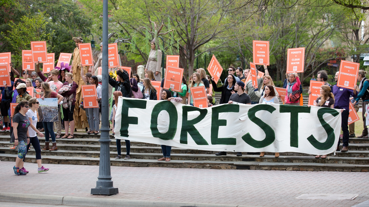 The Dogwood Alliance holds a demonstration in support of forests. 