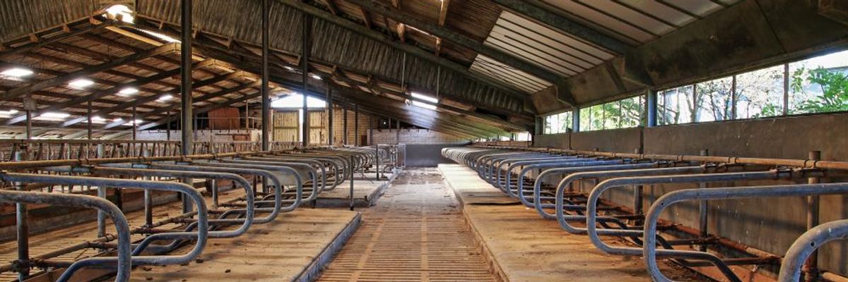 Taking Farmers for a Ride