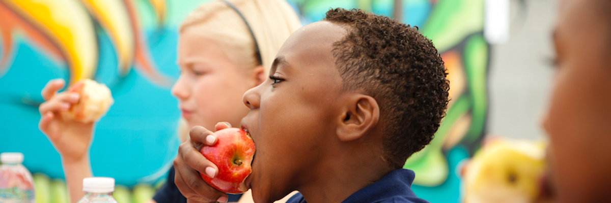 Rejecting Scientific Evidence of Harm to Children's Brains, Trump EPA OKs Continued Use of Chlorpyrifos