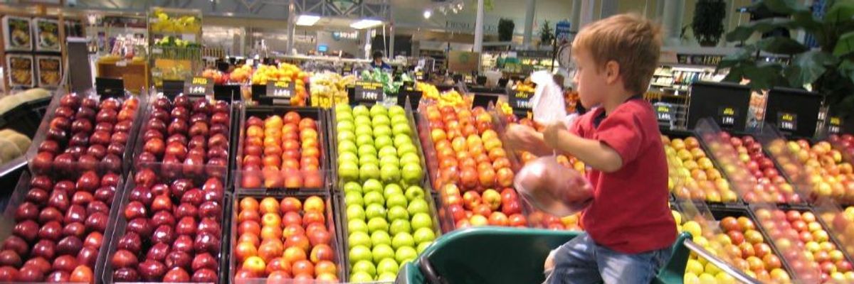 Kale, Strawberries, and Spinach Top List as Report Shows Nearly 70% of US Produce Contain Dangerous Pesticide Residue