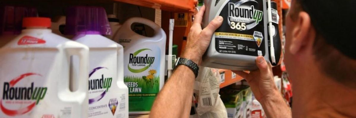 Critics: Trump EPA's Formal Assertion Glyphosate Poses No Risk to Human Health Indication of 'Troubling Allegiance' With Bayer/Monsanto