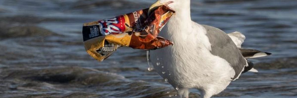 EU Urged to Go Further to Save Trash-Filled Waters With New Proposed Plastics Ban