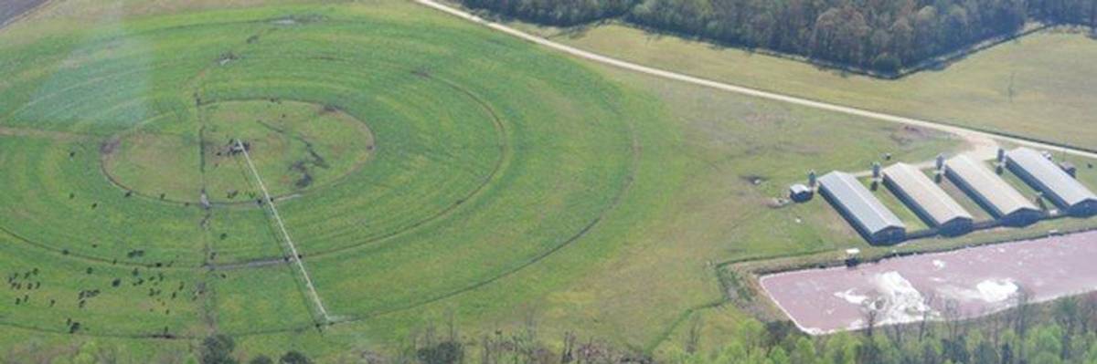 Nobody Should Have Hog Poop on the Walls of Their Home