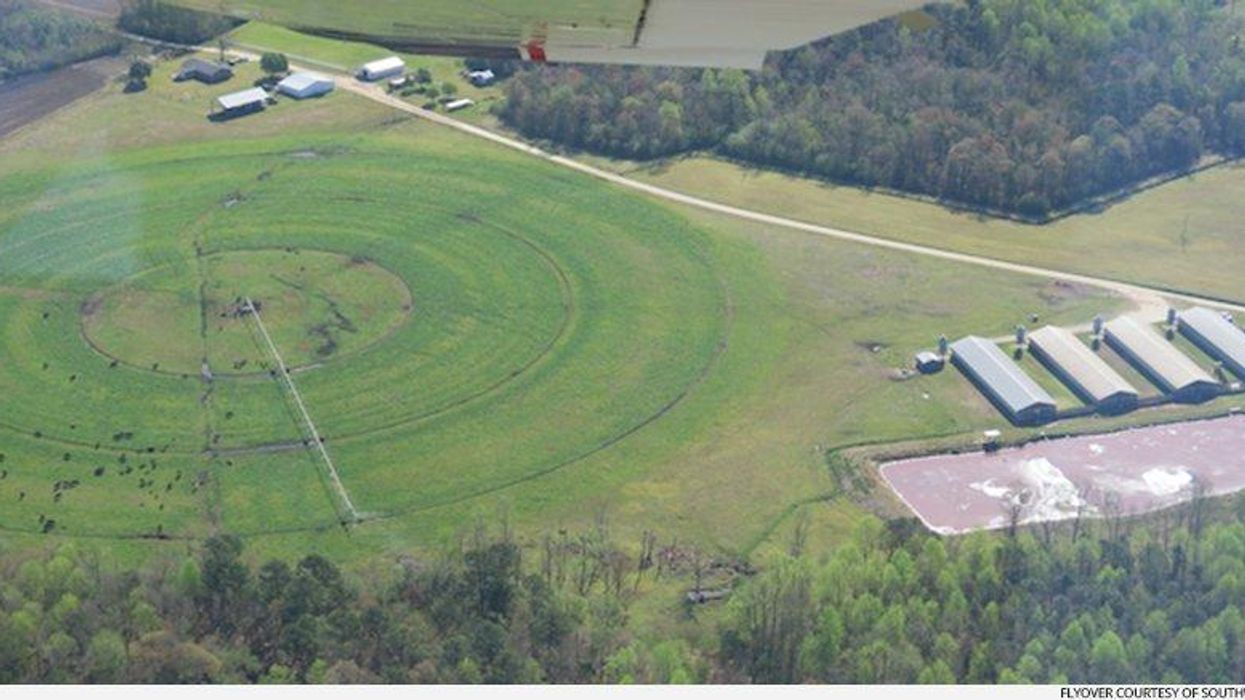 Nobody Should Have Hog Poop on the Walls of Their Home